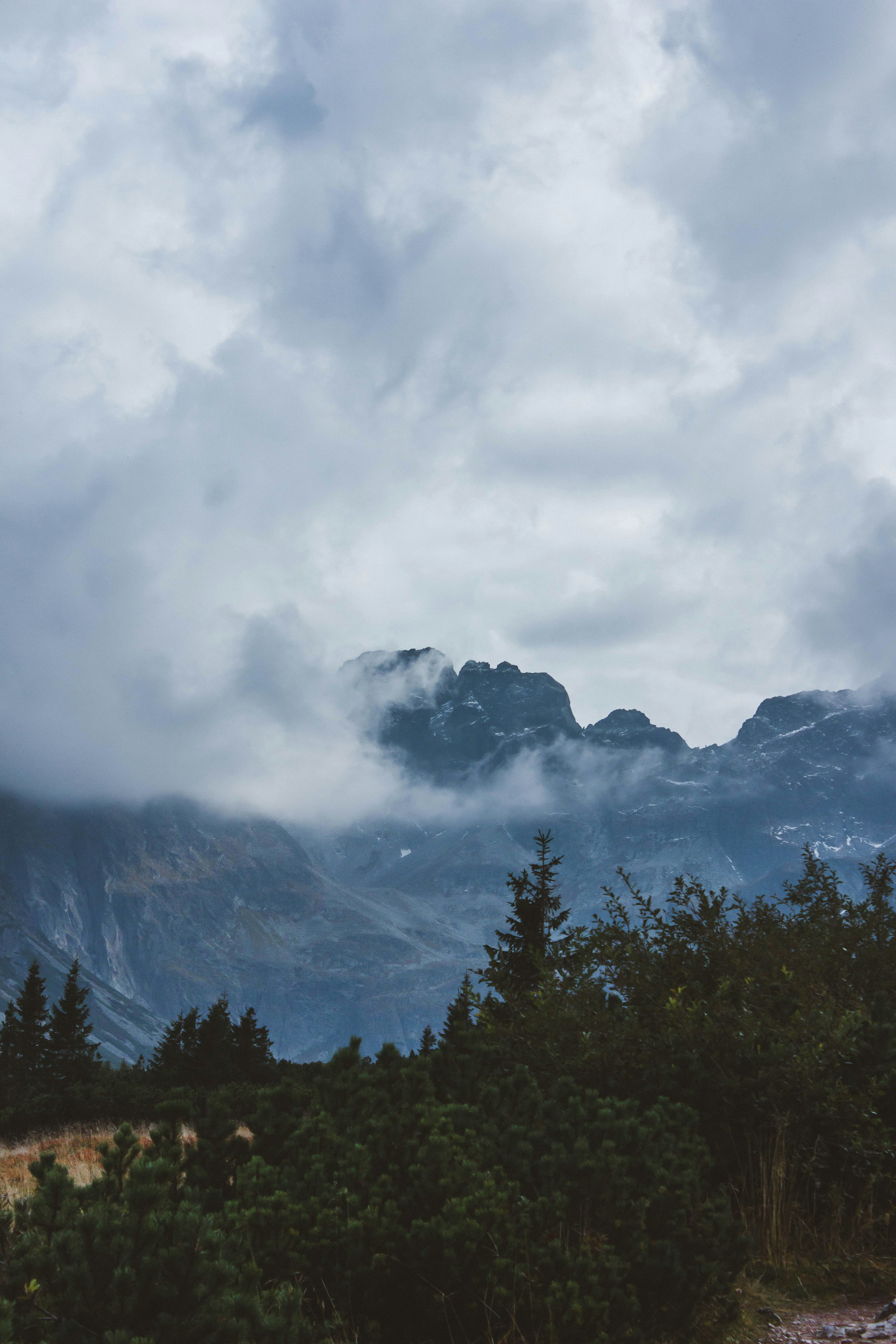 green trees near mountain under white clouds during daytime